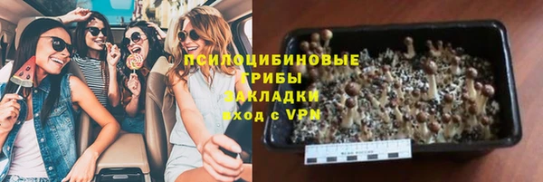 гашик Алексеевка