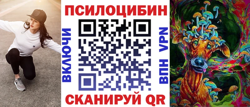 как найти   Щигры  Псилоцибиновые грибы Psilocybine cubensis 